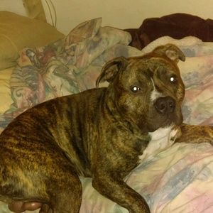 Meet your Posher, Keri